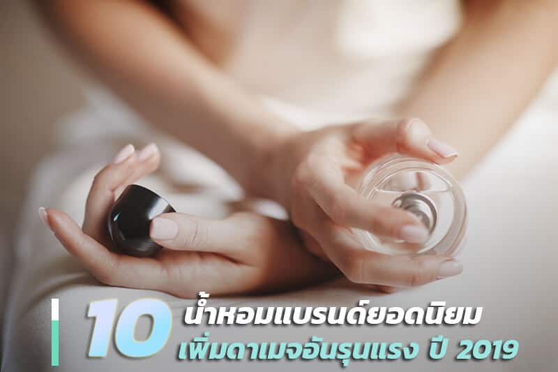 10-อันดับ-น้ำหอมแบรนด์ยอดนิยม
